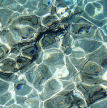 Symi - sunlight reflected and refracted onto the seabed through the crystal clear waters around the island