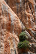 Symi - detail of the cliff at Lapathos Beach