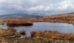 Brecon Beacons - looking towards Pen y Fan and Corn Du across one of the small ponds on Fan Frynach/Craig Carreg-gleisiad