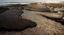 rocky foreshore - the wave-cut platform of the Glamorgan coast