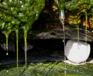 detail of fresh water dripping through the moss
