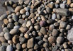 a wide variety of well-rounded pebbles is found along this stretch of the Glamorgan Heritage Coast