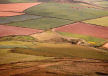 field patterns on Carn Perfedd, Pembrokeshire 