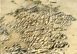 Newport Pembs: wave cut platform part covered in sand