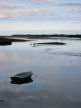 Newport Pembs: early morning on the estuary of the Afon Nyfi