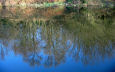 January on Heaton Mersey Pond, Stockport