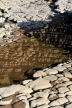 'cobbles' of wave-cut platform and refection of cliff behind, Glamorgan Heritage Coast