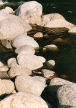 large pebble edge to the River Tech, Roussillon